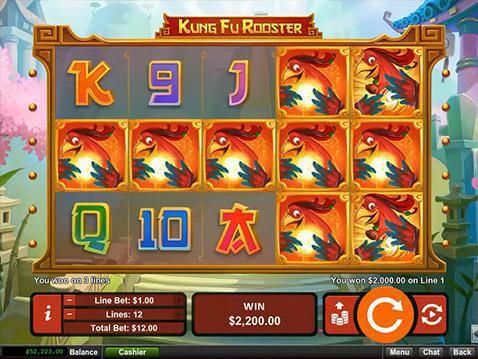 kung-fu-rooster